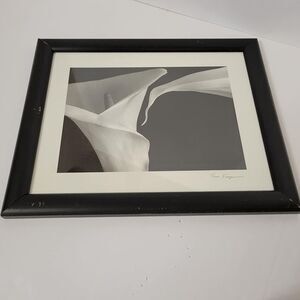 Two Calla Lillies Photograph Signed Tom Ferguson Silver Gelatin Botanical Flower
